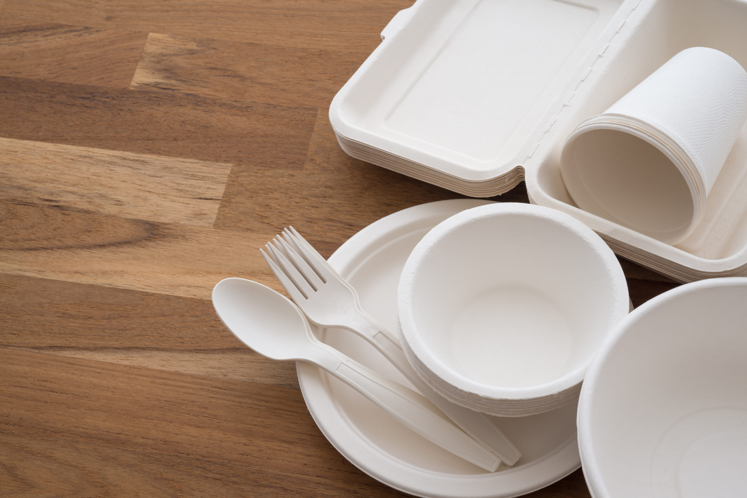 bagasse-tableware